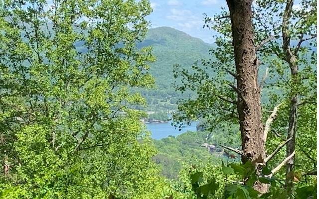 Hiawassee, GA 30546,LOT 8 Hidden Summit Road