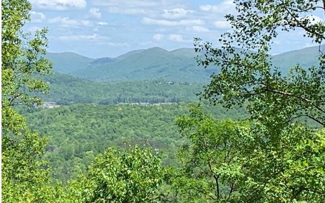 Hiawassee, GA 30546,LOT 8 Hidden Summit Road