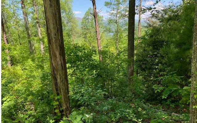 Hiawassee, GA 30546,LOT 8 Hidden Summit Road