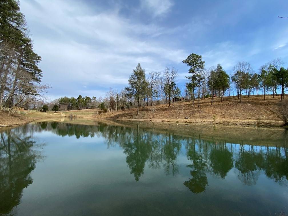 Mineral Bluff, GA 30559,Lot 21 Arbor Creek Trail