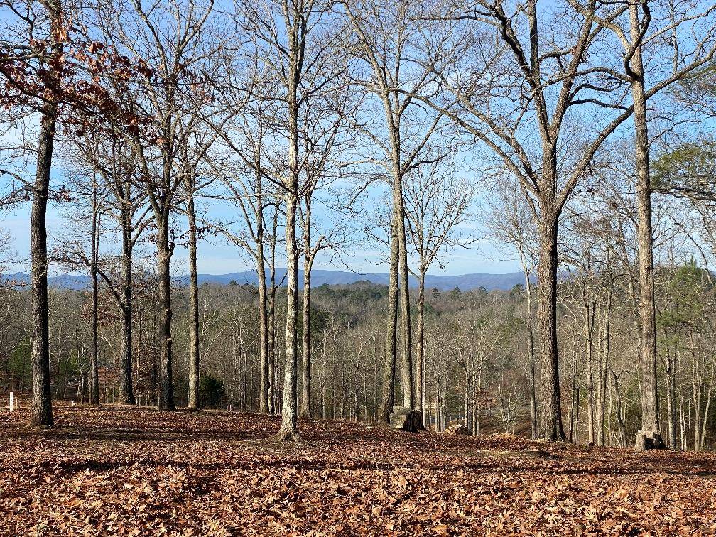 Mineral Bluff, GA 30559,Lot 10 Arbor Creek Trail