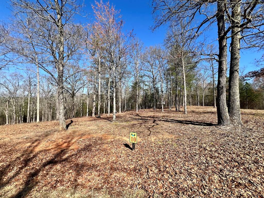 Mineral Bluff, GA 30559,Lot 10 Arbor Creek Trail