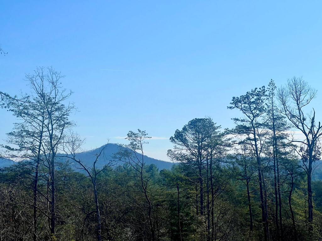 Mineral Bluff, GA 30559,Lot 40 Mountain Laurel Ridge