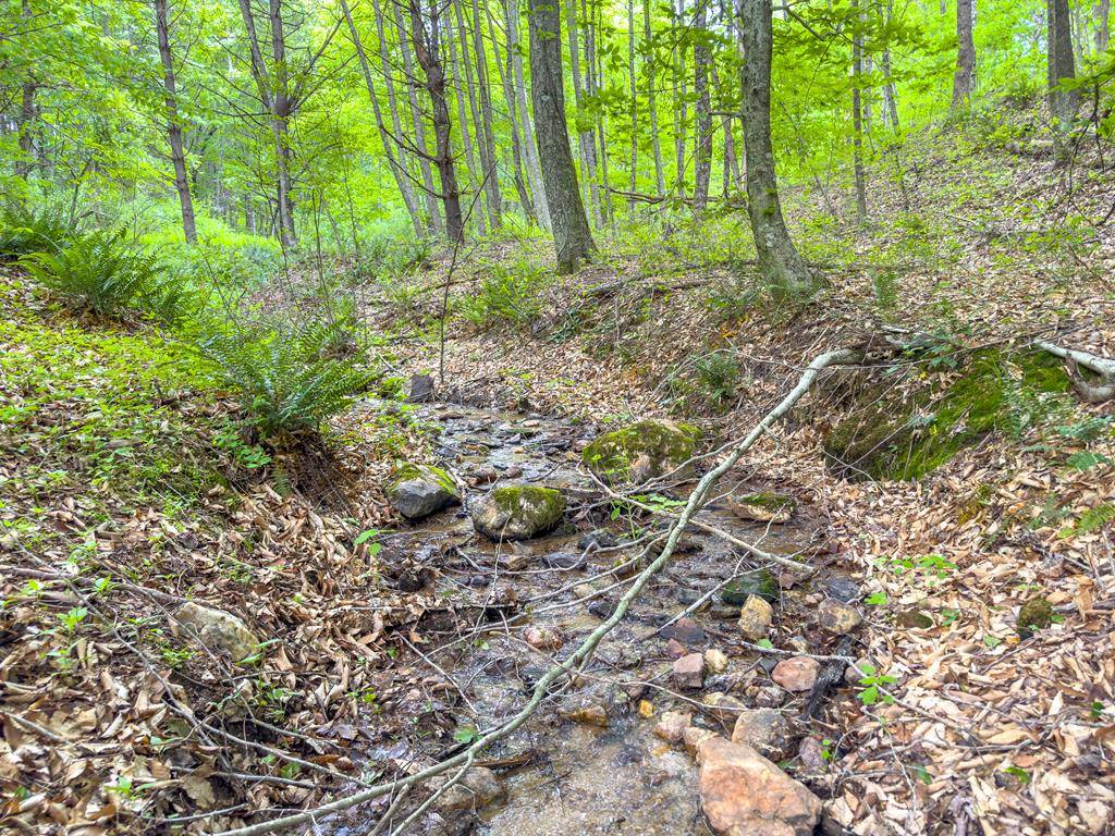 Woodlawn, VA 24381,34 Acres Apache Rd