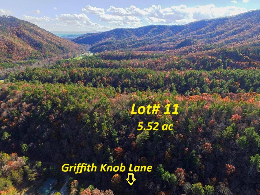 Wytheville, VA 24382,Lot 11 Griffith Knob Lane