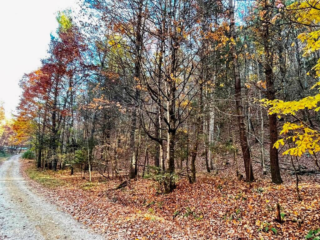 Wytheville, VA 24382,Lot 11 Griffith Knob Lane