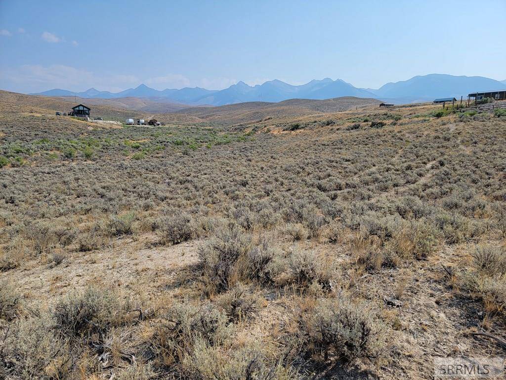 Salmon, ID 83467,Lots 2&3 Gold Valley Drive