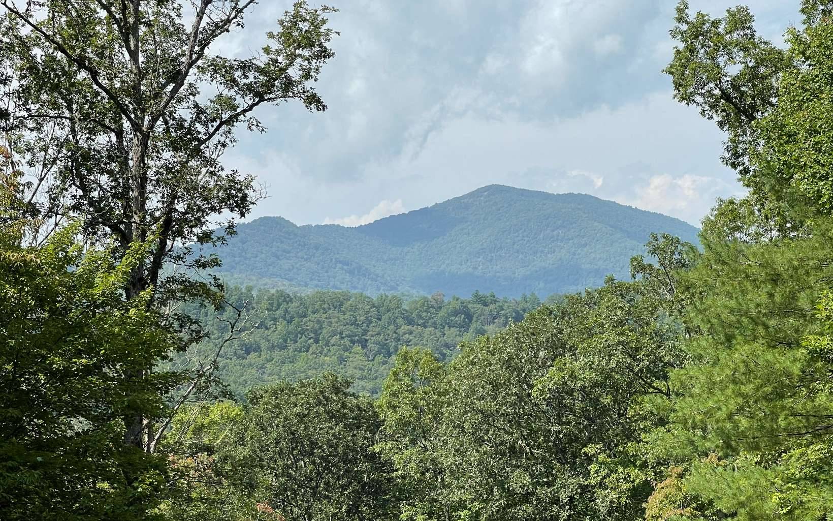 Hiawassee, GA 30546,LOT 9 Wolfpen Gap Sub