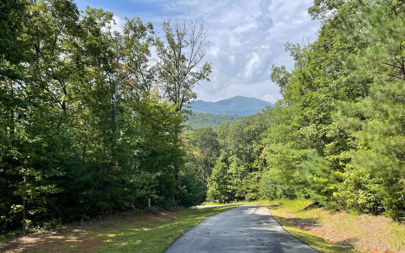 Hiawassee, GA 30546,LOT 9 Wolfpen Gap Sub