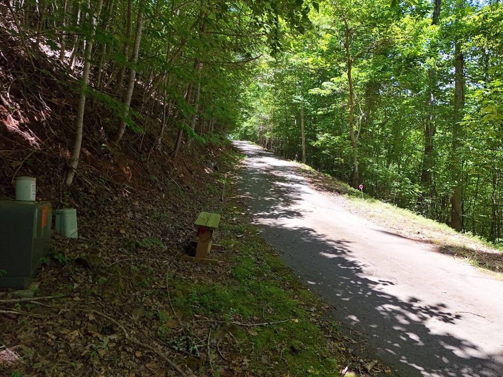 Hiawassee, GA 30546,Lot 29 Hidden Summit Road