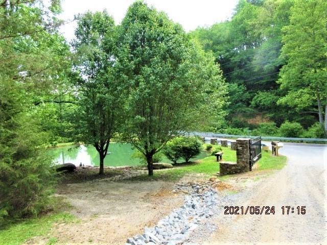 Murphy, NC 28906,L17 Owl Creek & Panther