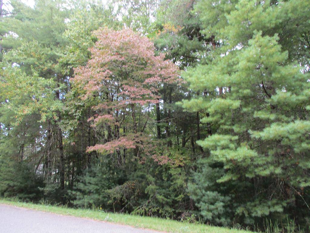 Blairsville, GA 30512,Lot 25 Byers Road