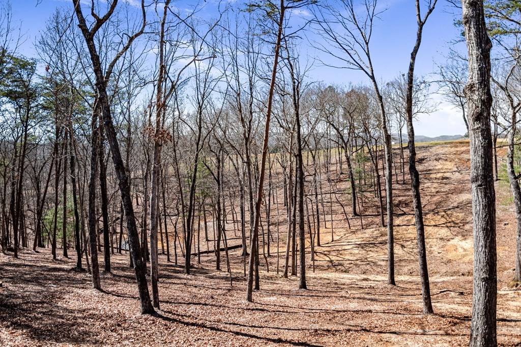 Blue Ridge, GA 30513,2421 Ada Street