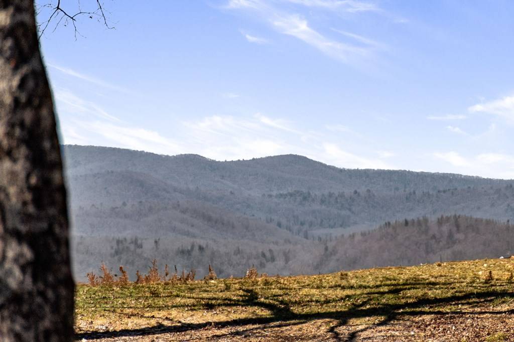 Blue Ridge, GA 30513,2421 Ada Street