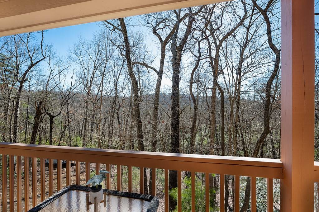 Ellijay, GA 30536,3184 Saint Andrews Way