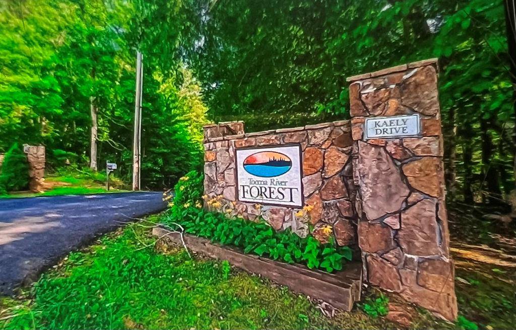 Mineral Bluff, GA 30559,513 Toccoa River Forest