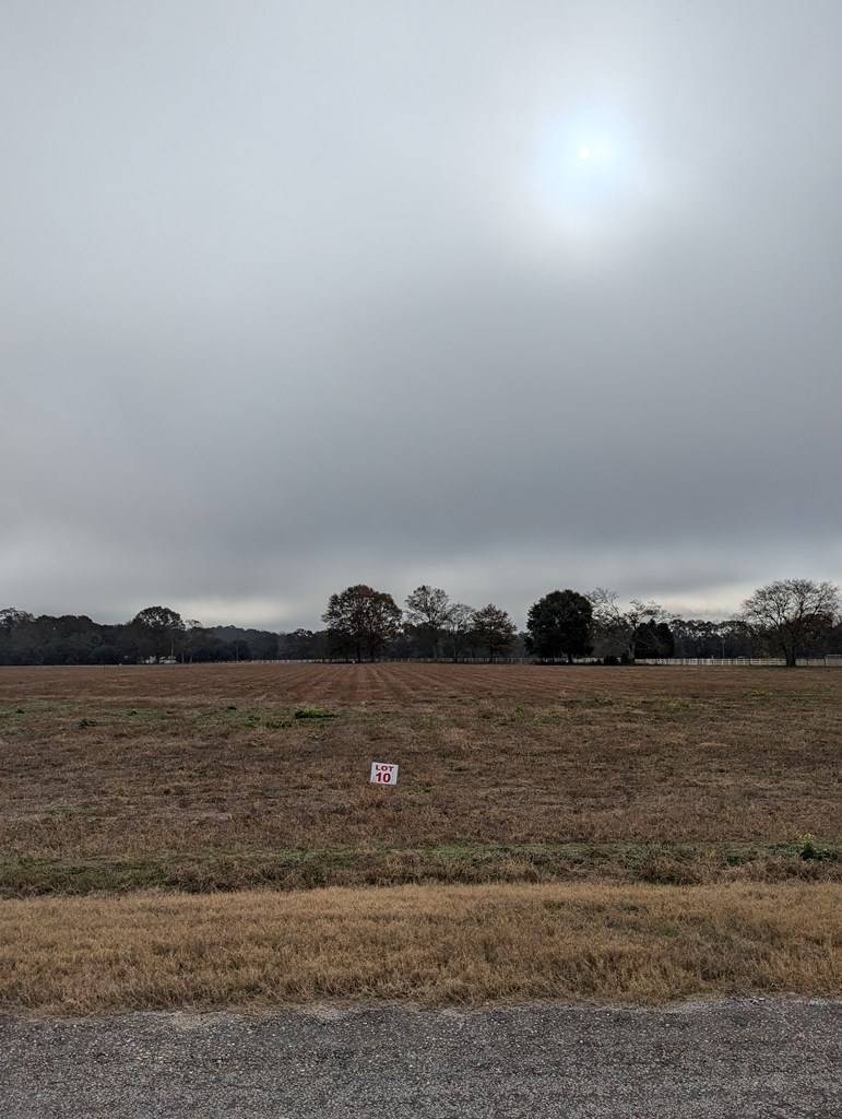 Headland, AL 36345,0 County Road 9