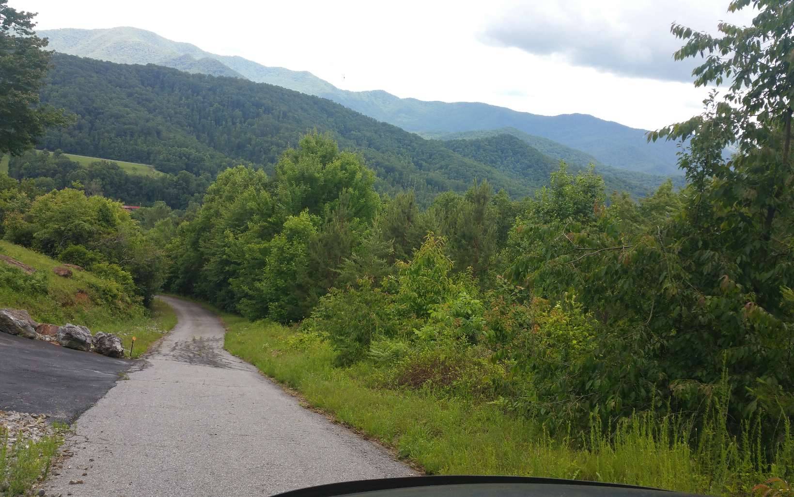 Hayesville, NC 28904,LOT 7 Mill Creek Estates