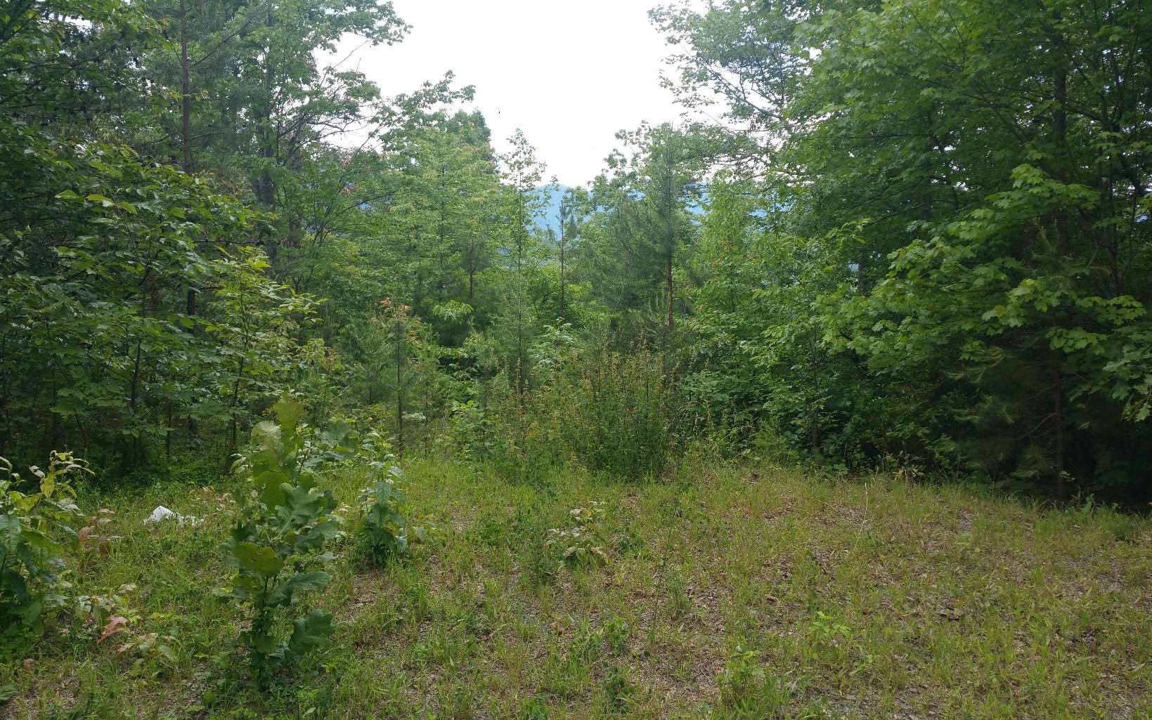 Hayesville, NC 28904,LOT 7 Mill Creek Estates