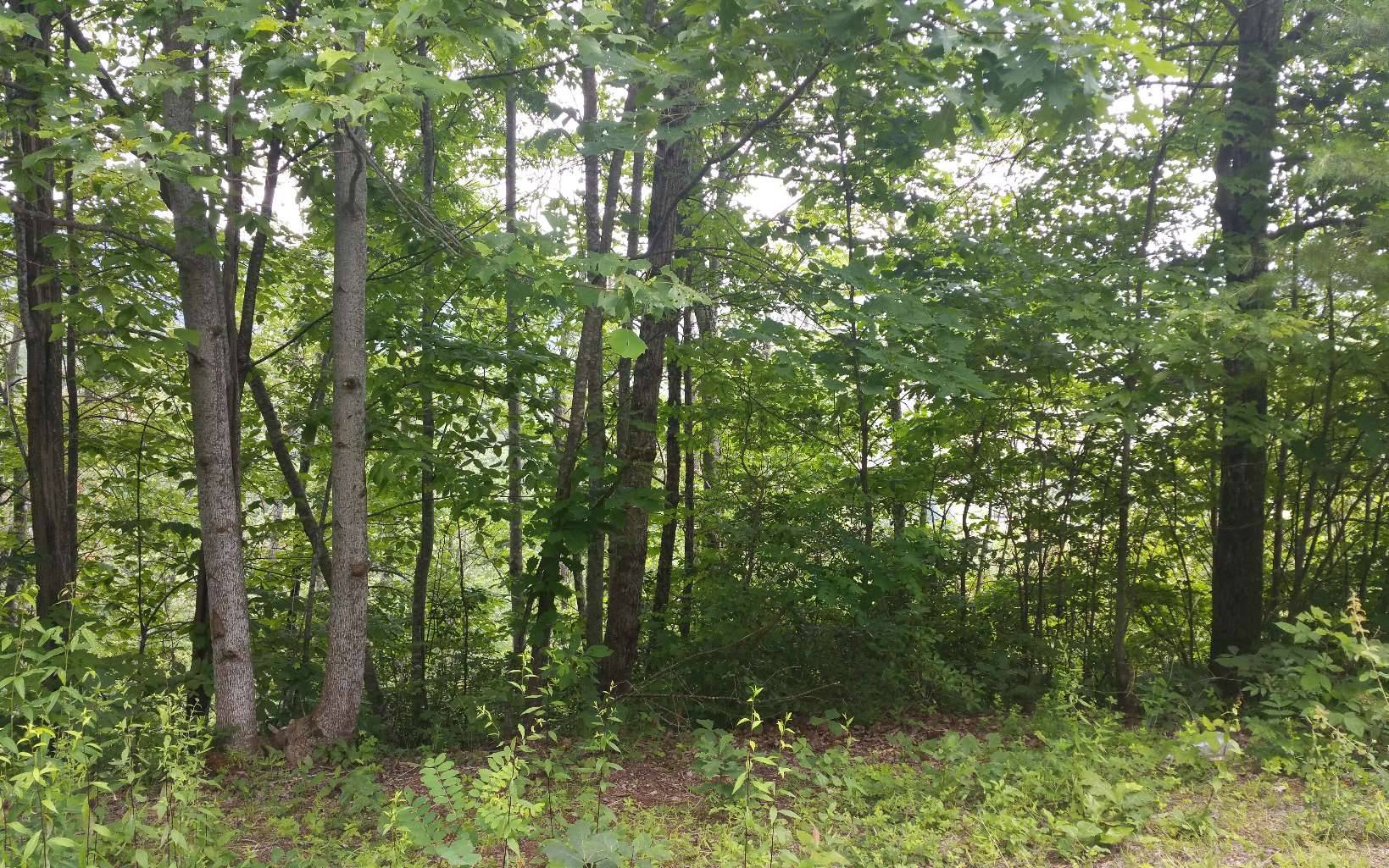 Hayesville, NC 28904,LOT 7 Mill Creek Estates