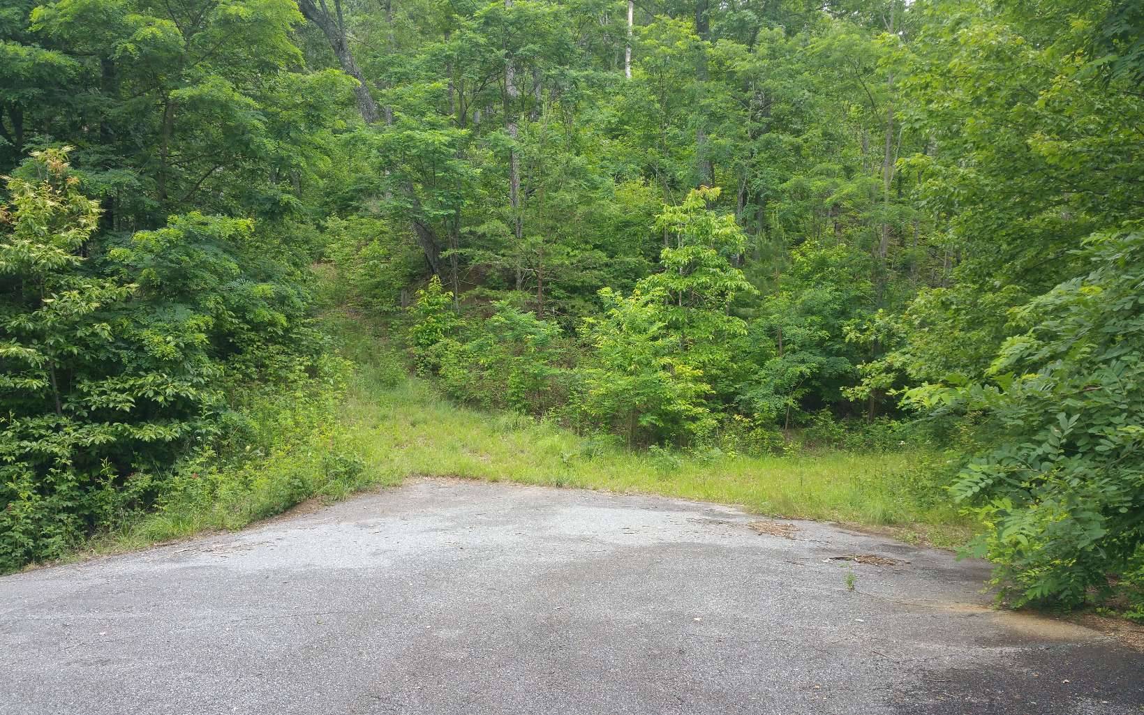 Hayesville, NC 28904,LOT 7 Mill Creek Estates