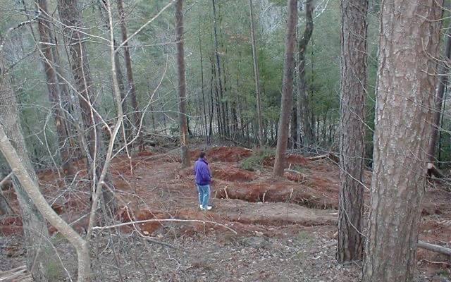 Murphy, NC 28906,29 Lake Point Drive
