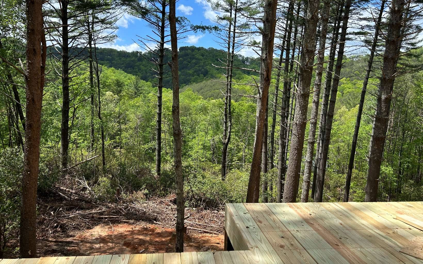 Blue Ridge, GA 30513,64 Moonshine Way