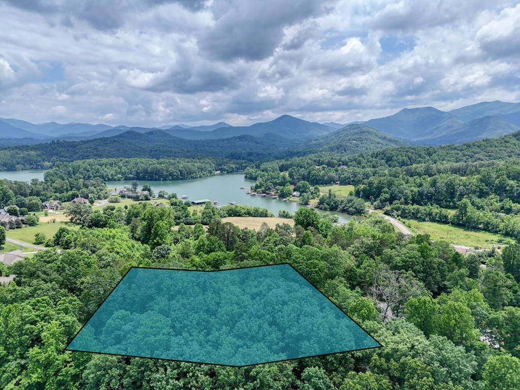 Hiawassee, GA 30546,Lot #43 Hidden Fields Road