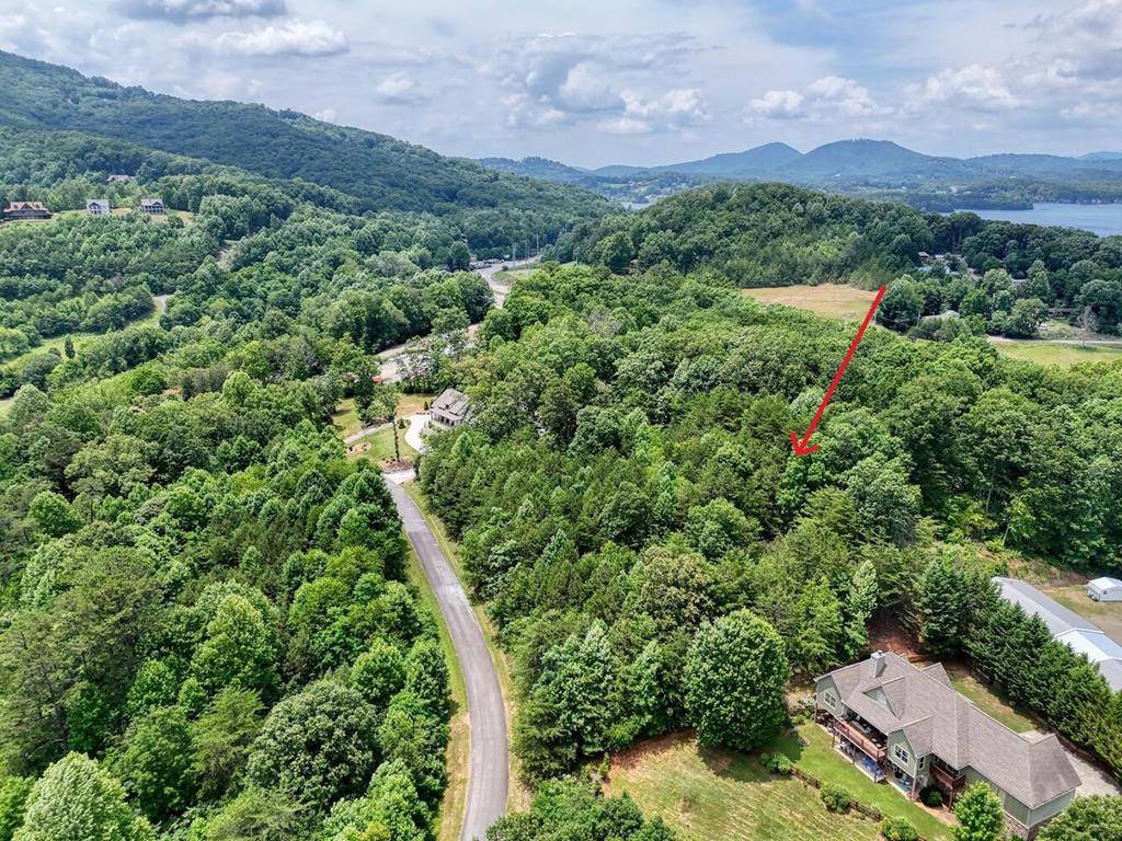 Hiawassee, GA 30546,Lot #43 Hidden Fields Road