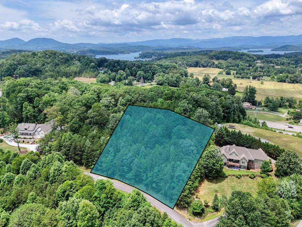 Hiawassee, GA 30546,Lot #43 Hidden Fields Road