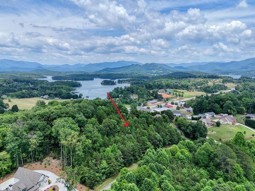 Hiawassee, GA 30546,Lot #43 Hidden Fields Road