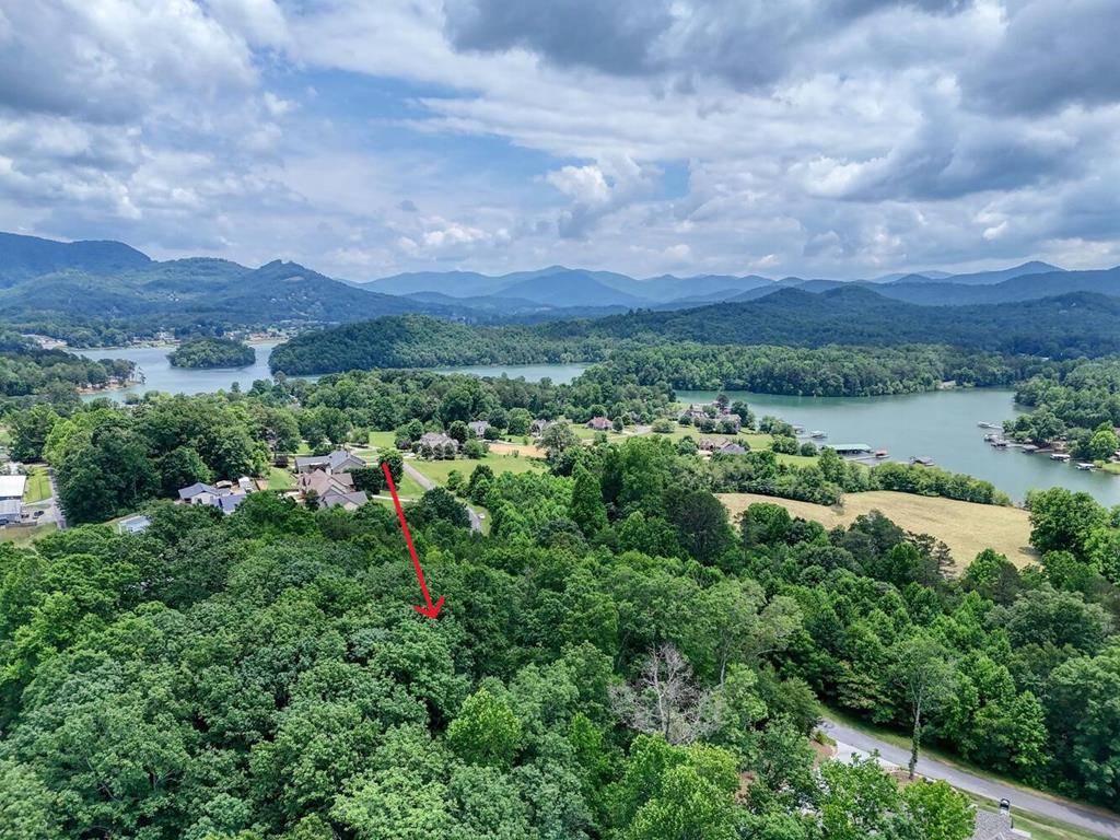 Hiawassee, GA 30546,Lot #43 Hidden Fields Road