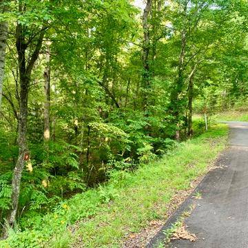 Warne, NC 28909,Lot 9 WIldflower Ridge