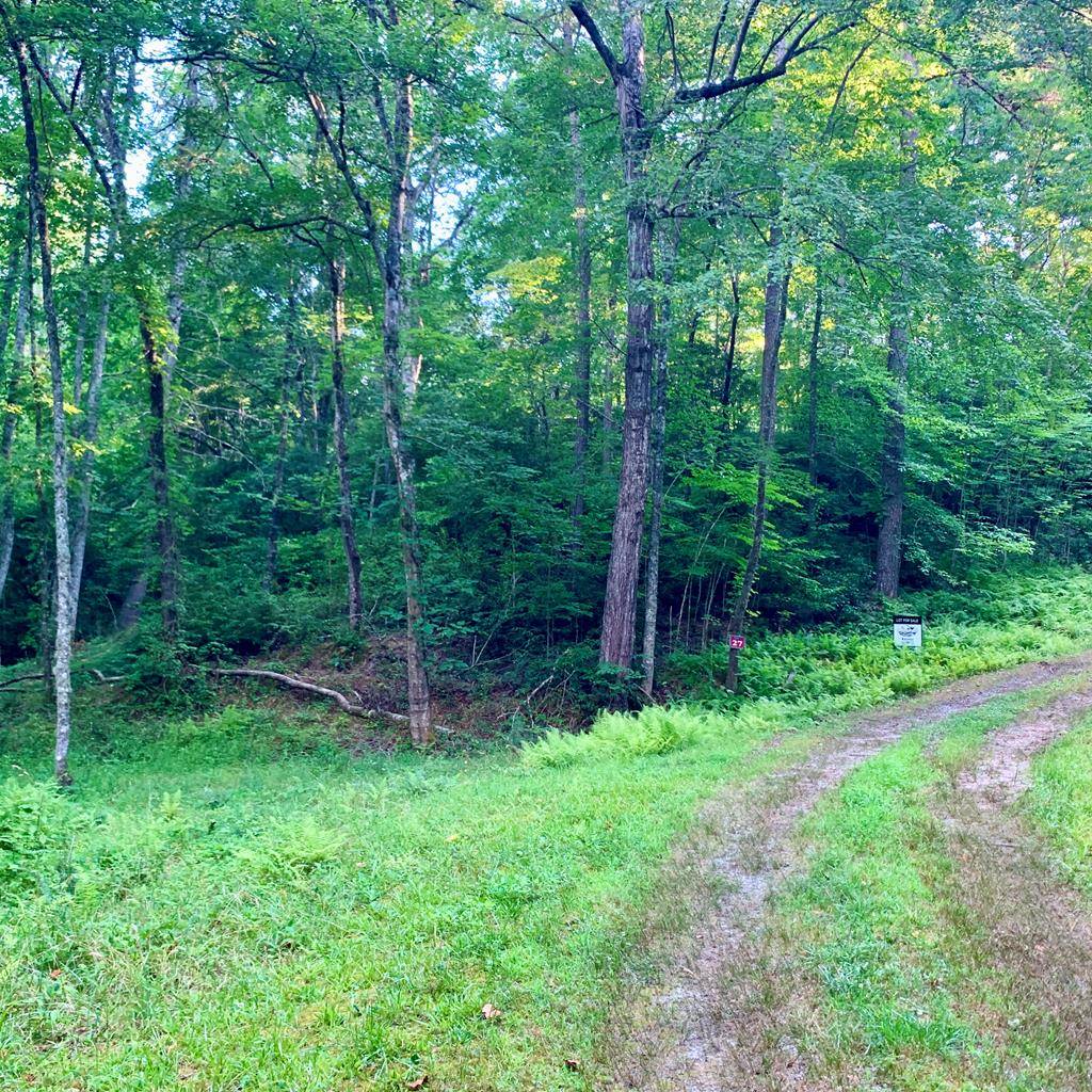 Warne, NC 28909,Lot 27 Solo View