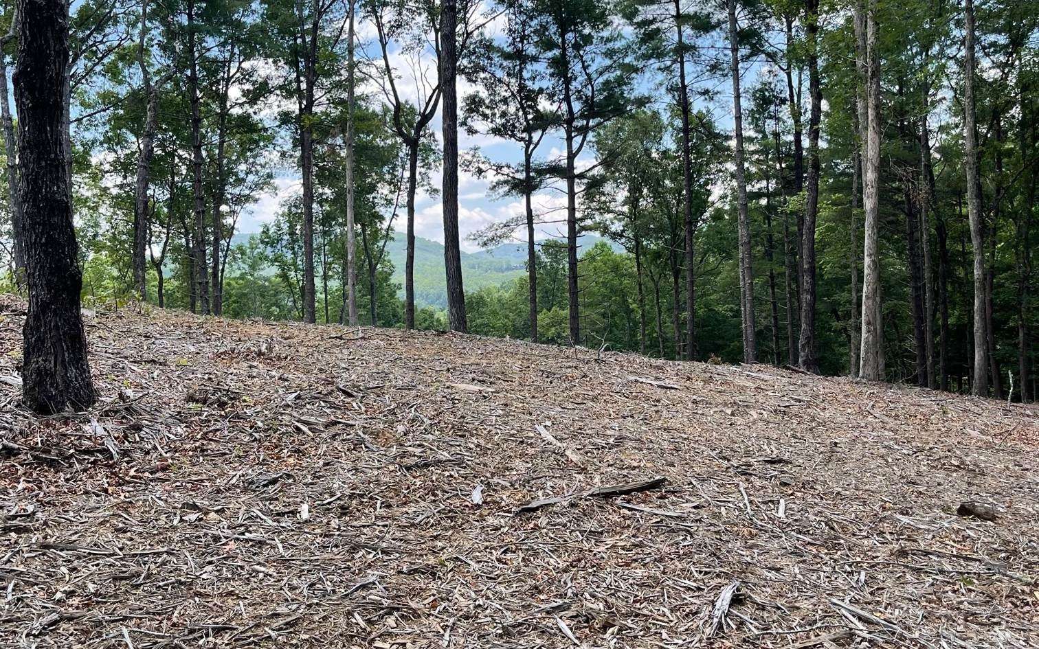 Morganton, GA 30560,LOT 95 The Ridges