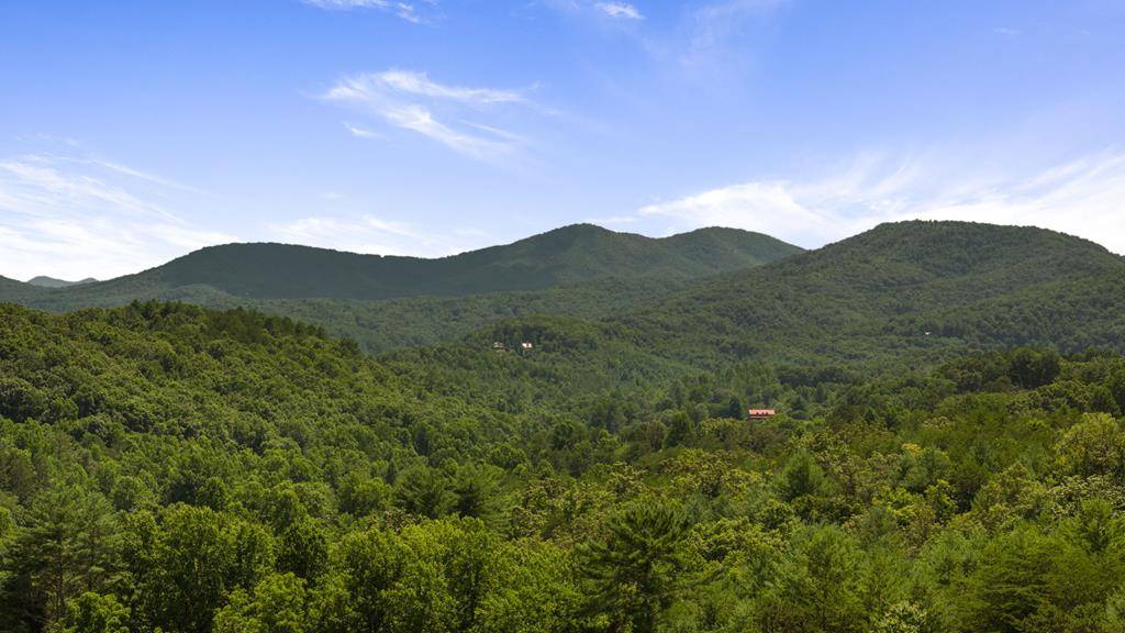Brasstown, NC 28902,1AC Green Cove Road
