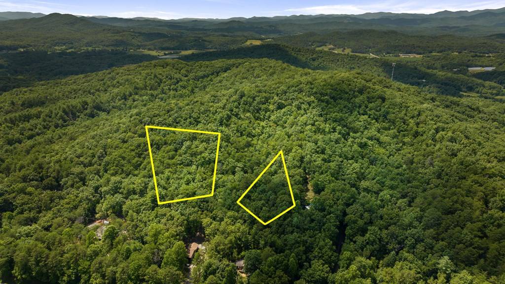 Brasstown, NC 28902,1AC Green Cove Road