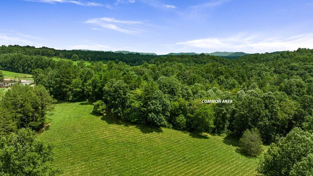 Mineral Bluff, GA 30559,Lot 15 Waterstone