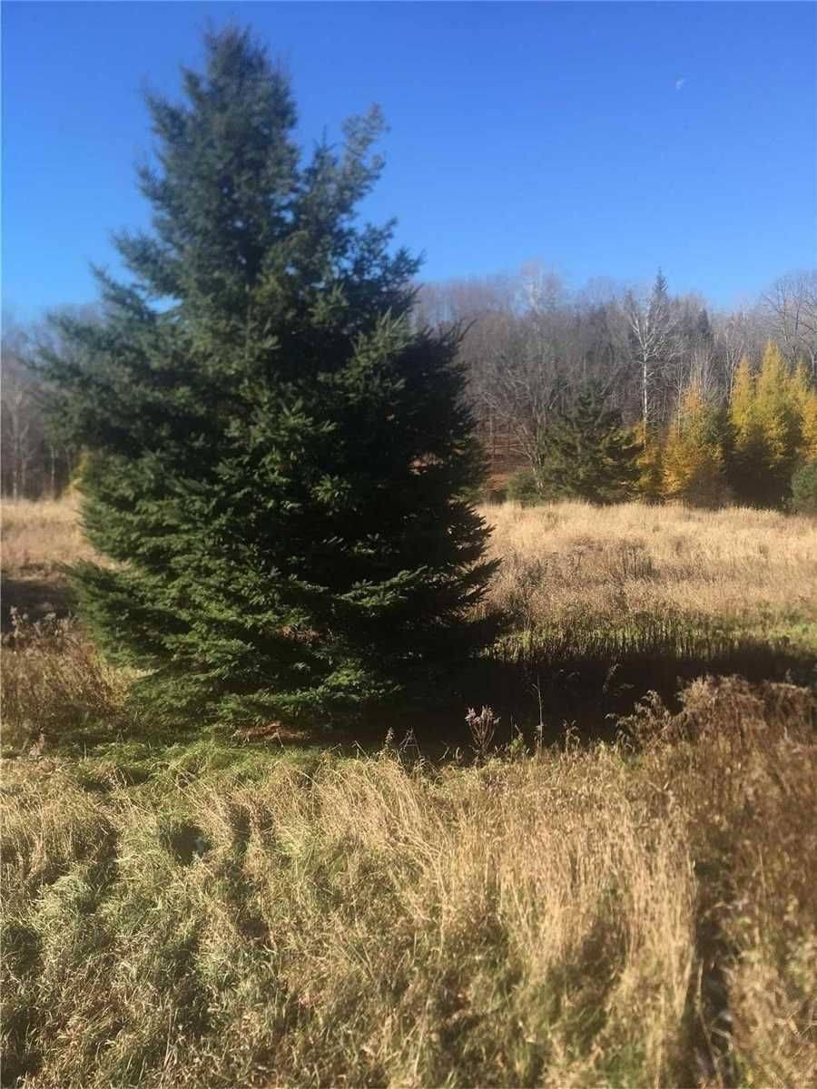 Wollaston, ON K0L 1P0,4430 Lower Faraday RD