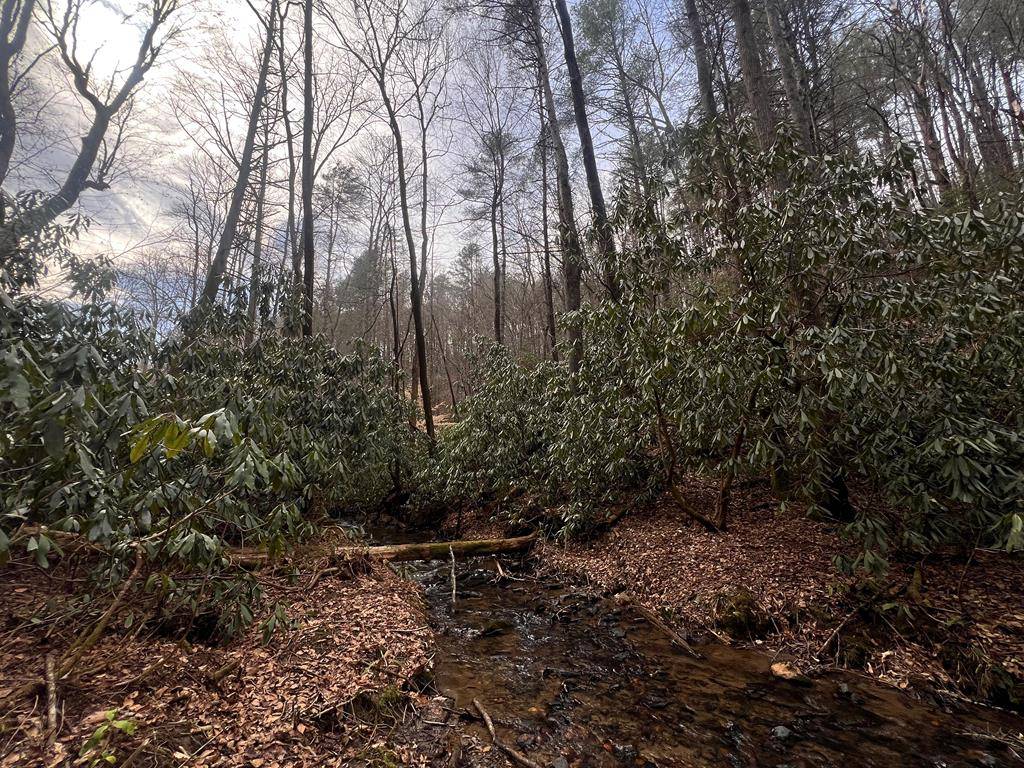 Mineral Bluff, GA 30559,63 Walker Ridge Way