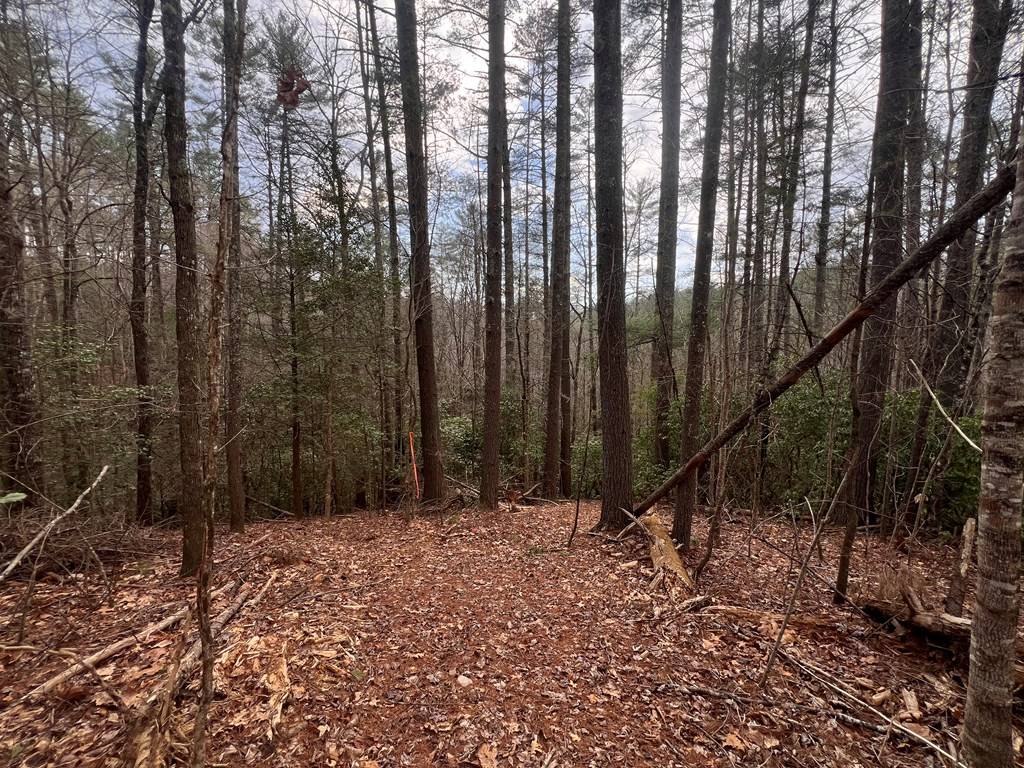 Mineral Bluff, GA 30559,63 Walker Ridge Way