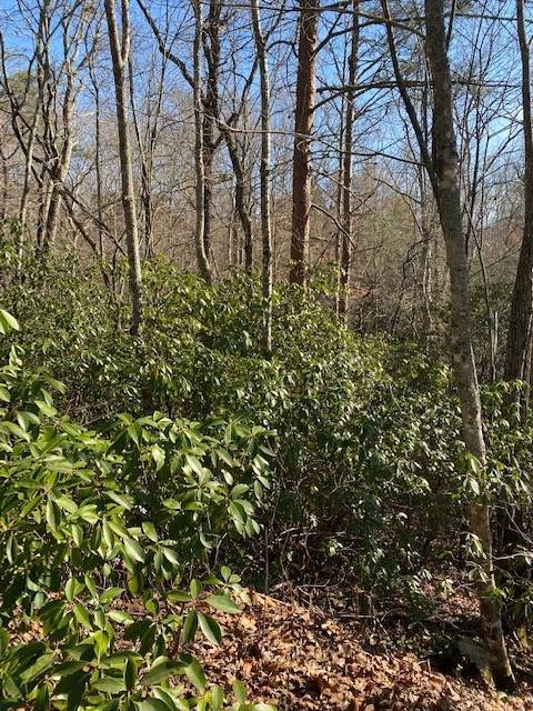 Blue Ridge, GA 30513,Lot 52+ Yellowbird Trail