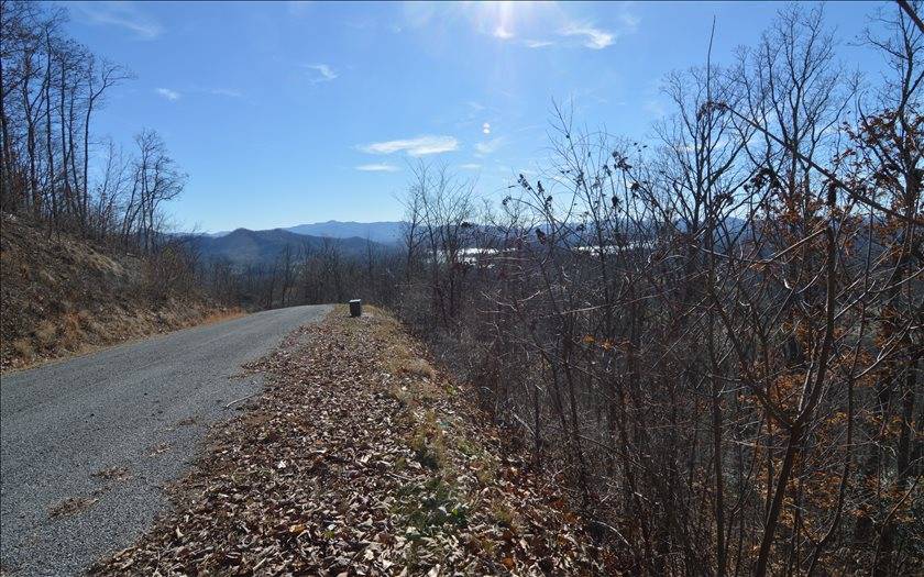 Hayesville, NC 28904,L 60M Mountain Harbour Drive