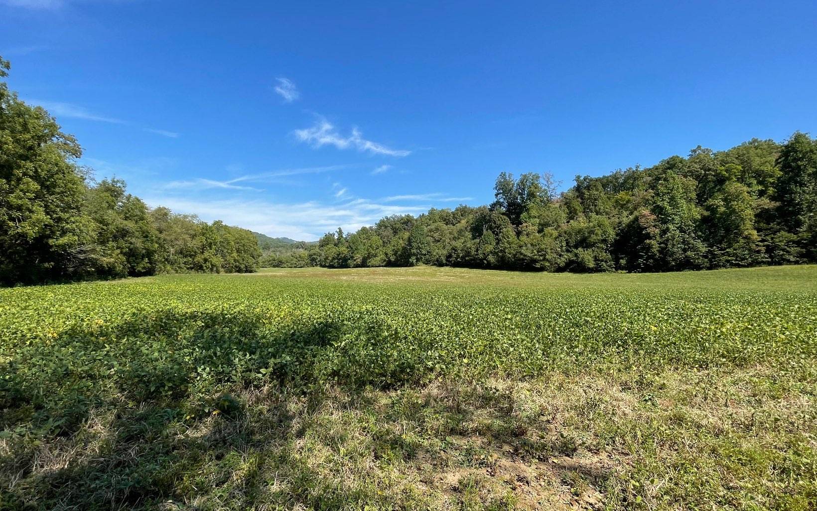 Hayesville, NC 28904,37+AC Jarrett Road