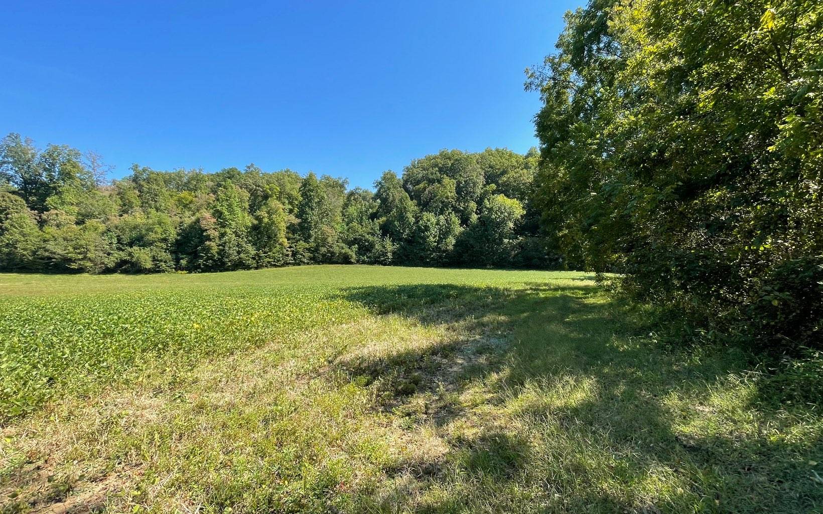 Hayesville, NC 28904,37+AC Jarrett Road