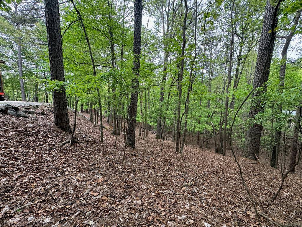 Ellijay, GA 30540,Lot 1833 Newport Drive