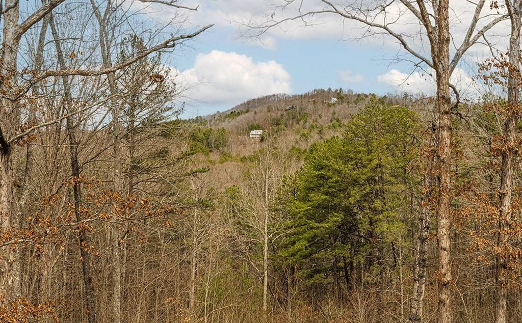 Morganton, GA 30560,322 Bootlegger Road