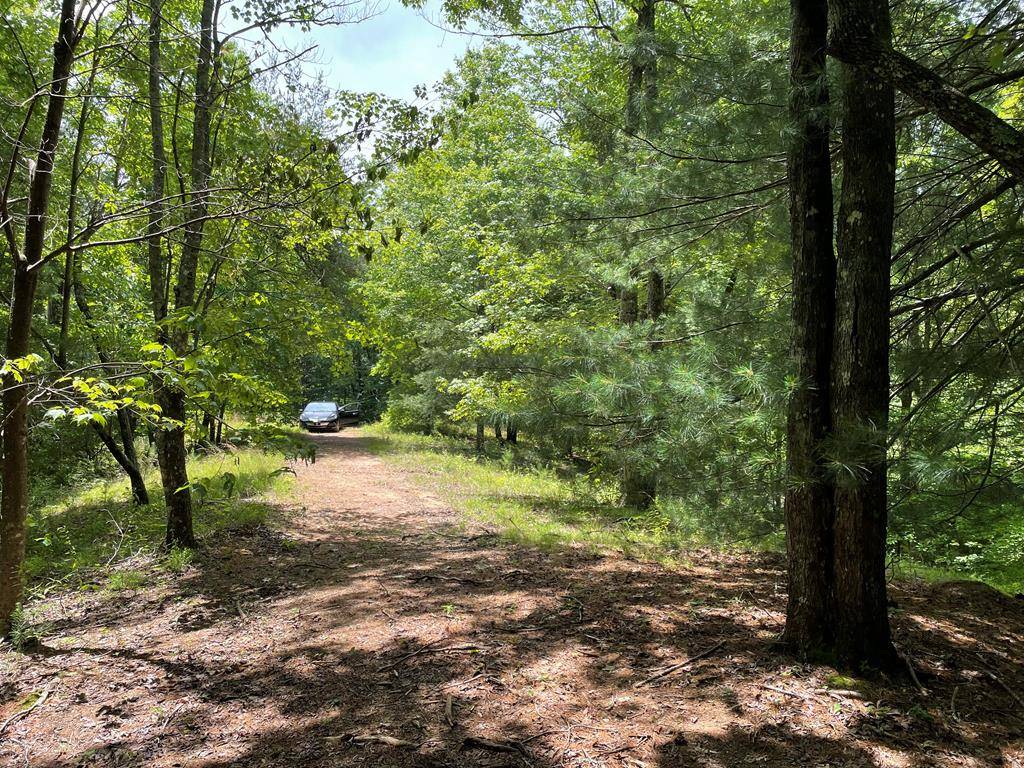 Andrews, NC 28901,00 Collett Woods Trail