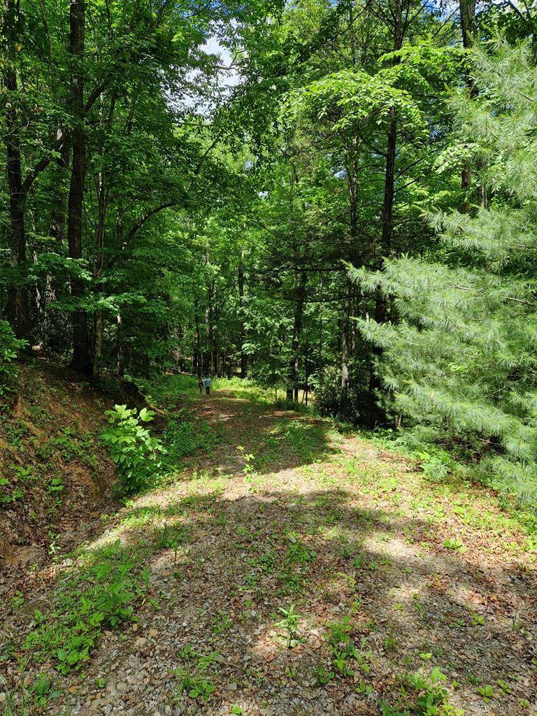 Andrews, NC 28901,00 Collett Woods Trail