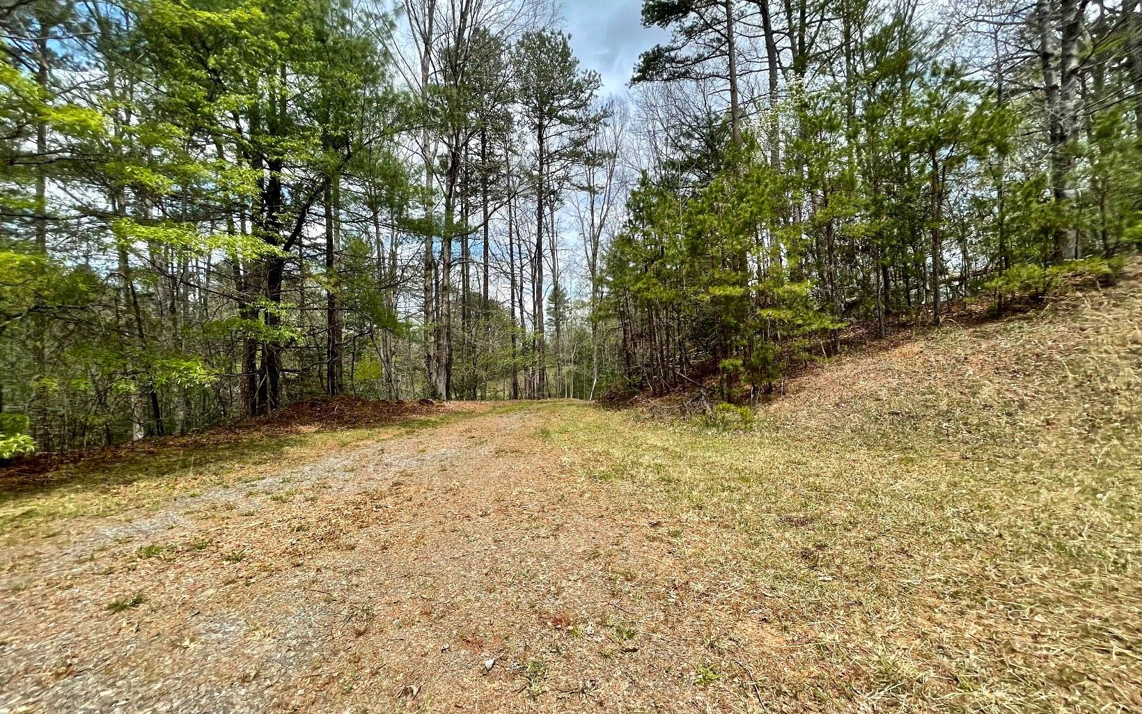 Murphy, NC 28906,TBD Cattail Lane